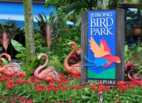 Jurong Bird Park